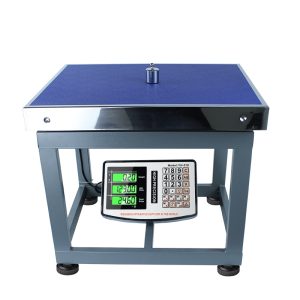 Platform scale