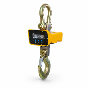 crane scale
